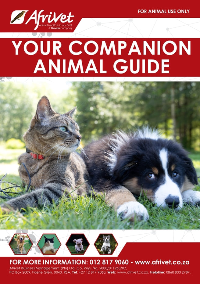 Your Companion Animal Guide