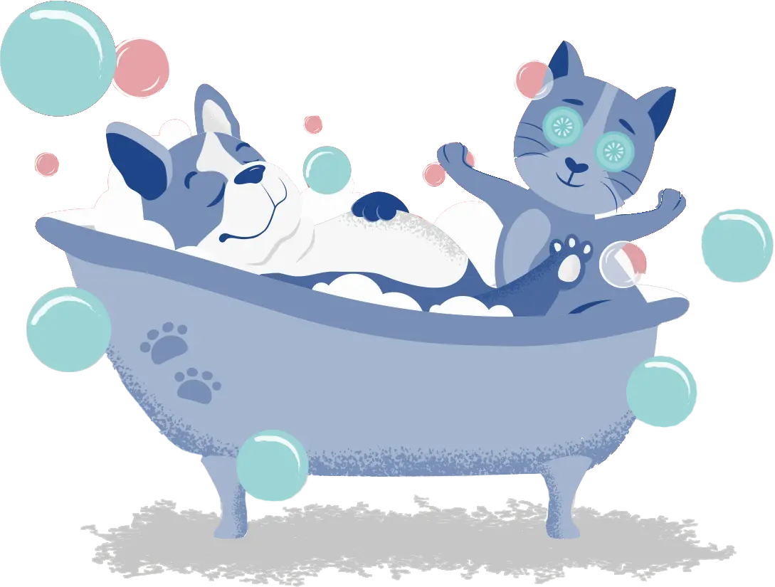 cat and dog in tub