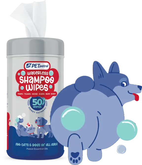 waterless shampoo wipes