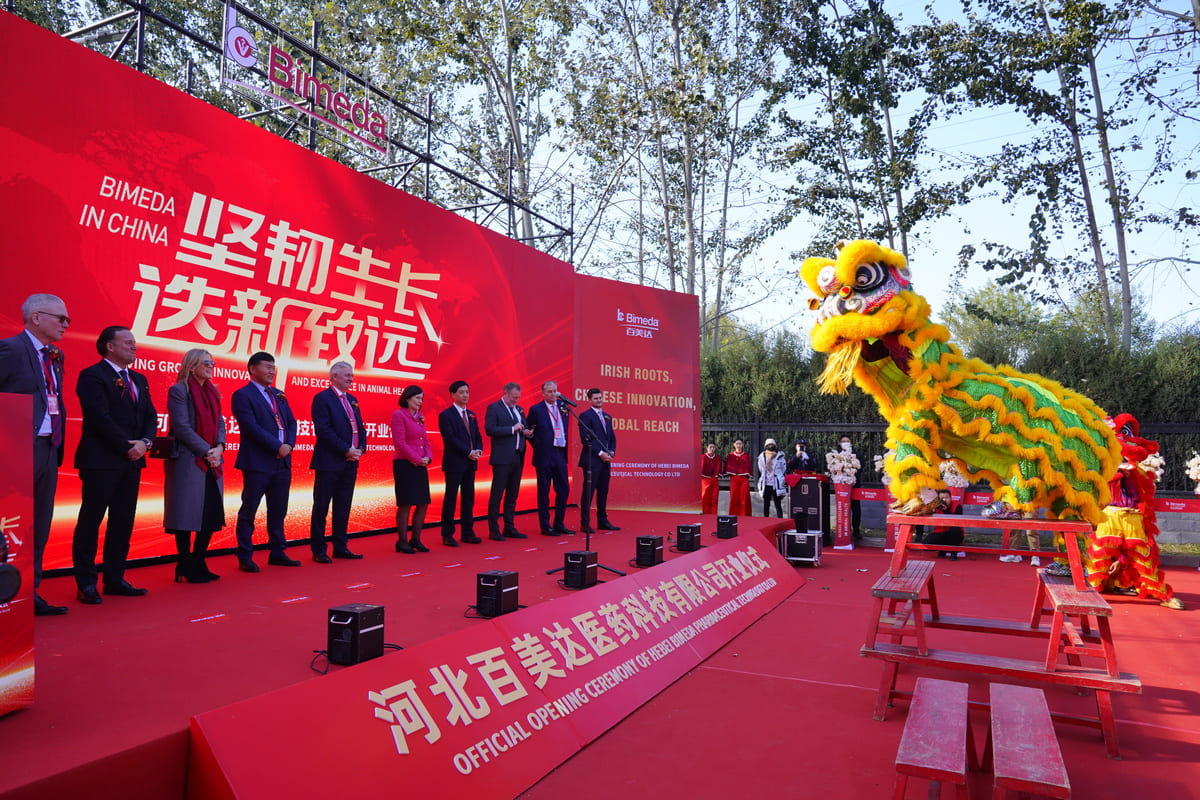 A traditional Dragon Dance takes place during the official opening ceremony