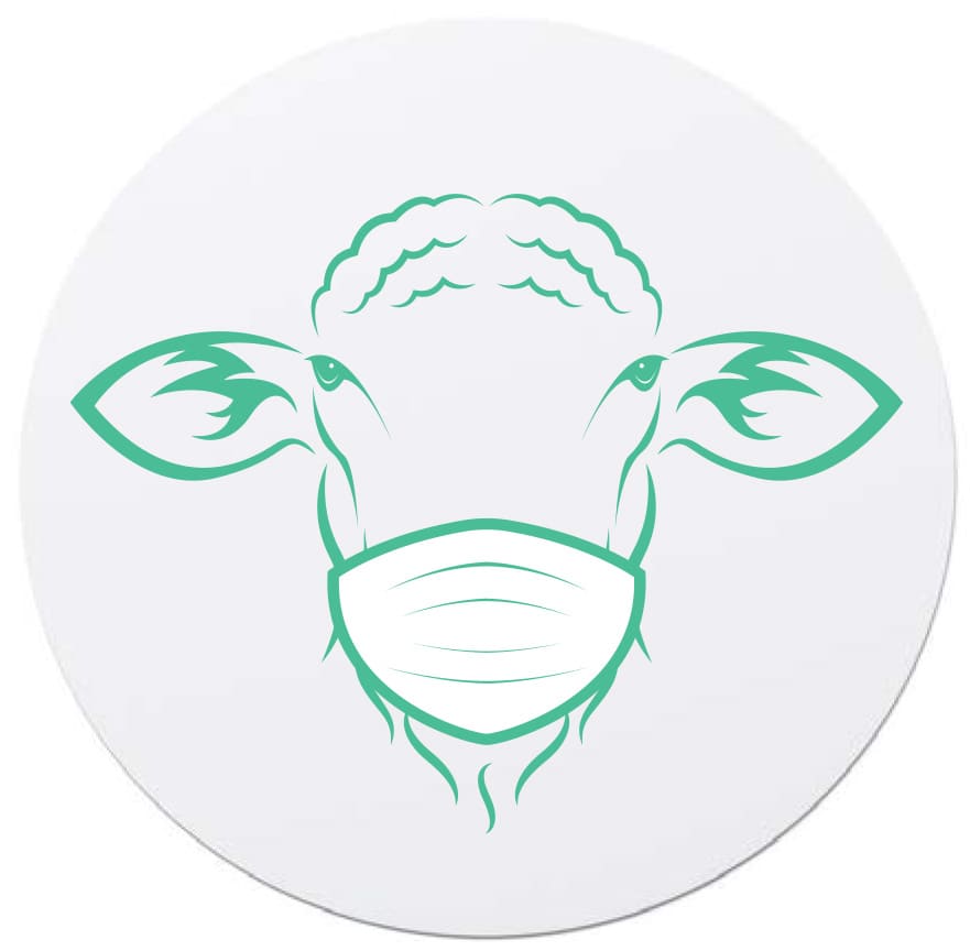 line drawing of sheep face wearing a surgical mask 