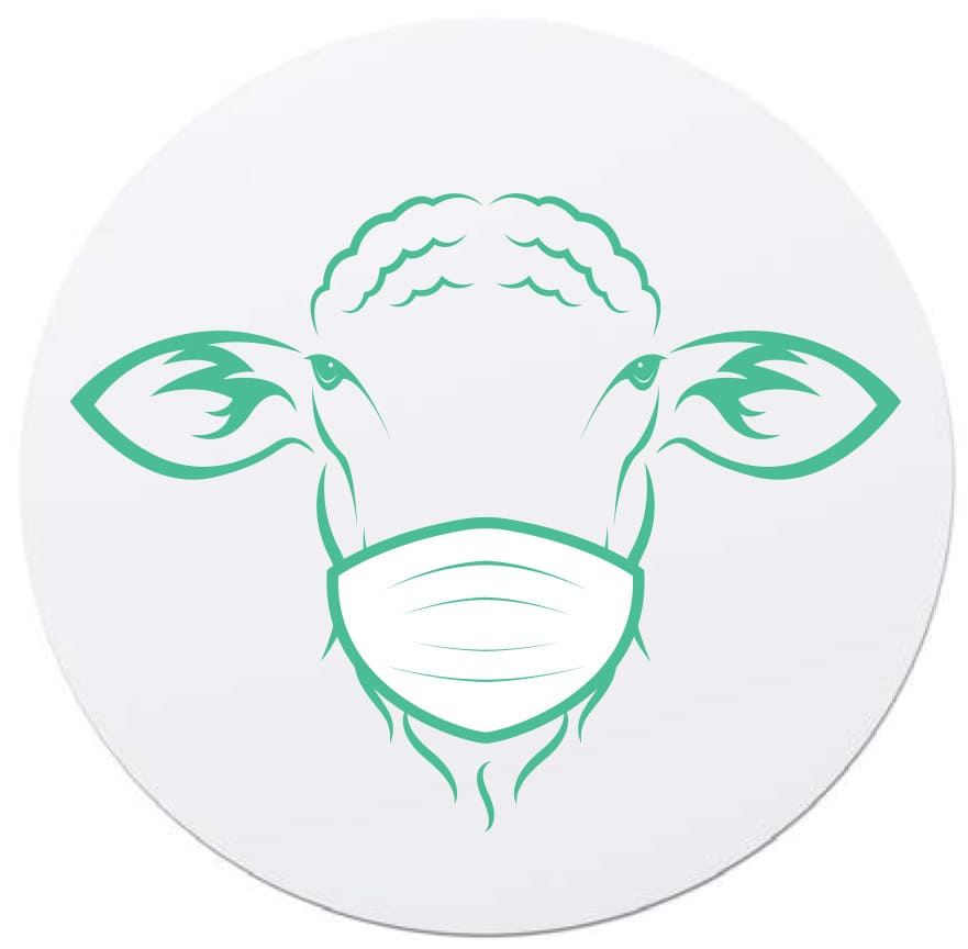 line drawing of sheep face wearing a surgical mask