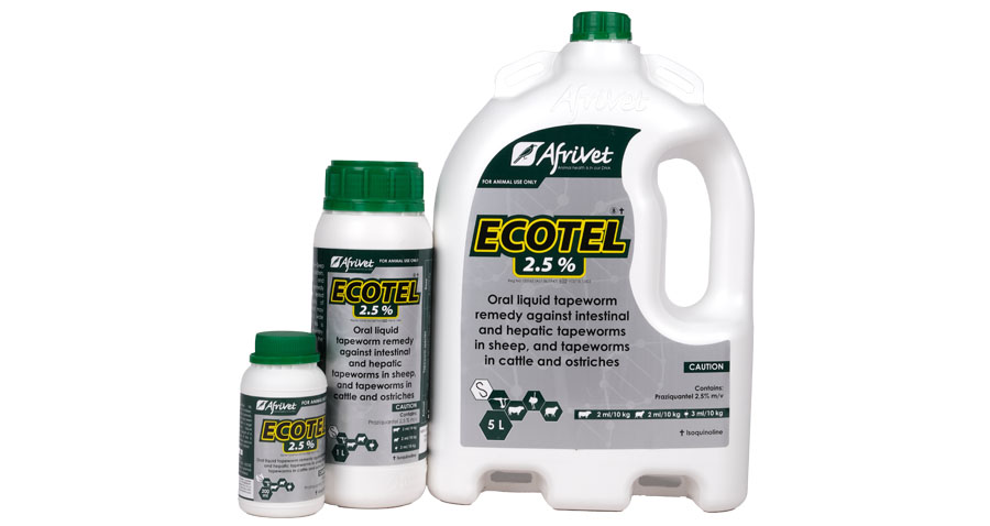 Ecotel 2.5%