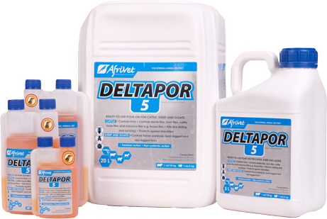 DeltaPor 5