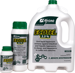 Ecotel 2.5%